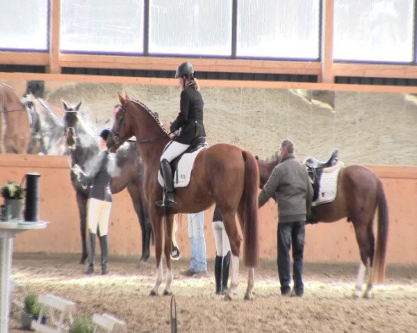 Reitturnier Iserlohn-Süd 2016