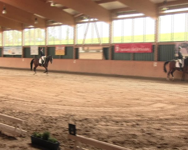 Reitturnier Iserlohn-Süd 2016