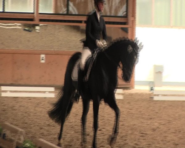 Reitturnier Iserlohn-Süd 2016