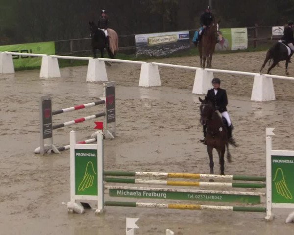 Reitturnier Iserlohn-Süd 2016