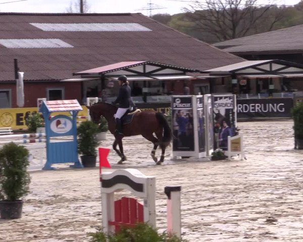 Reitturnier Havixbeck 2016