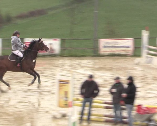 Reitturnier Iserlohn-Süd 2016