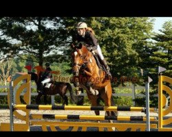 jumper Clooney 88 (Oldenburg show jumper, 2010, from Berlin)