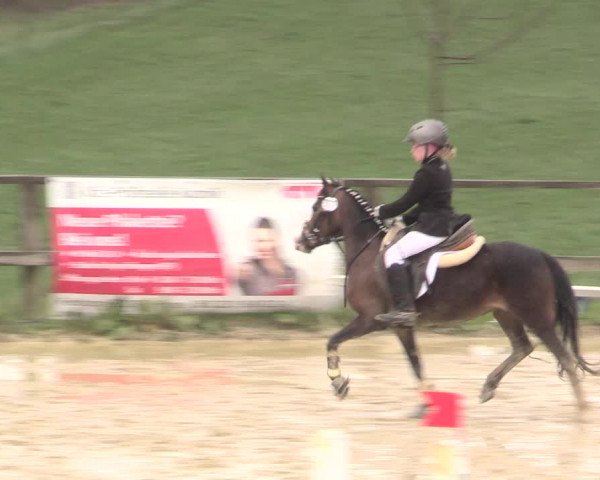Reitturnier Iserlohn-Süd 2016