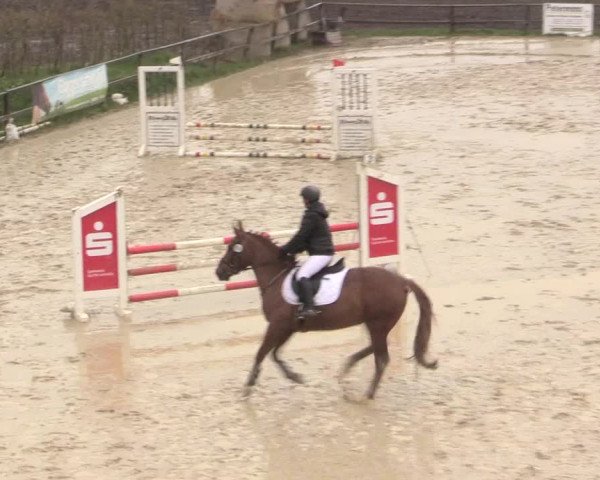 Reitturnier Iserlohn-Süd 2016