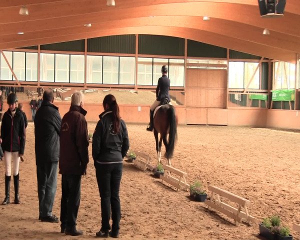 Reitturnier Iserlohn-Süd 2016