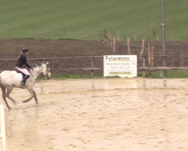 Reitturnier Iserlohn-Süd 2016
