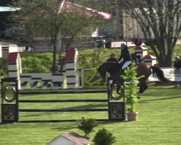 Reitturnier Greppin 2016