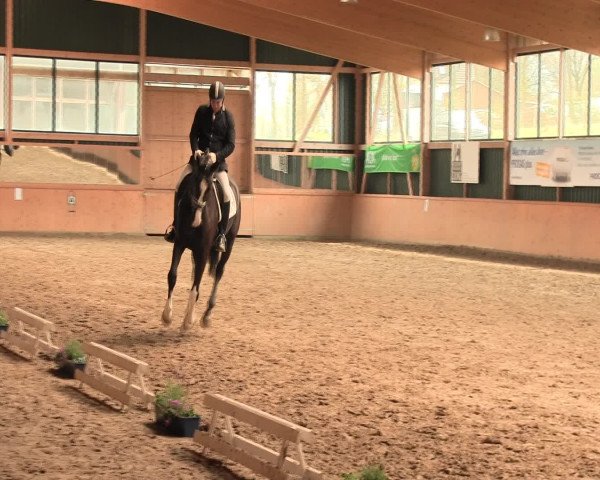 Reitturnier Iserlohn-Süd 2016