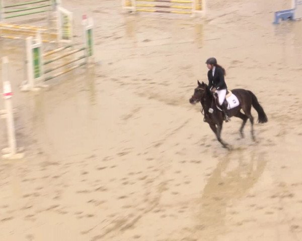 Reitturnier Iserlohn-Süd 2016