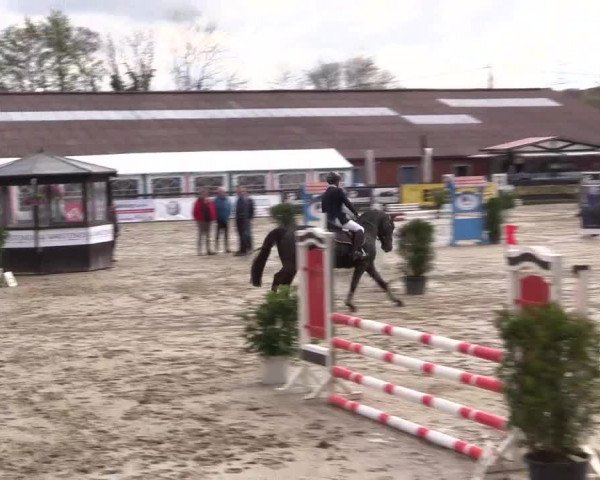 Reitturnier Havixbeck 2016
