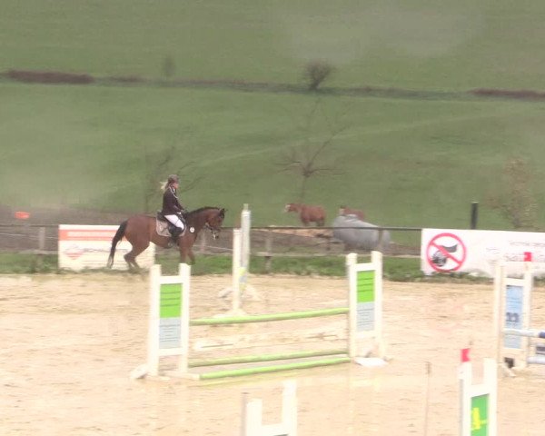 Reitturnier Iserlohn-Süd 2016