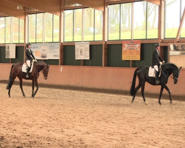 Reitturnier Iserlohn-Süd 2016