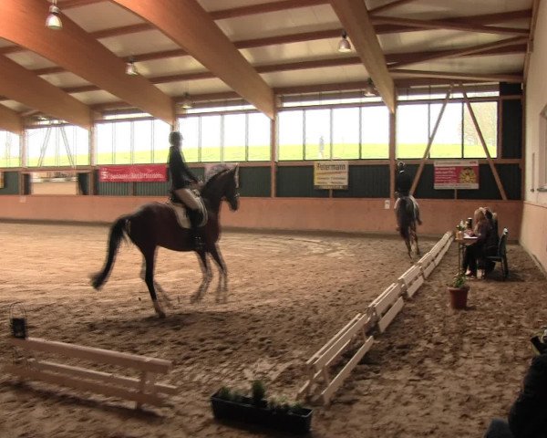 Reitturnier Iserlohn-Süd 2016
