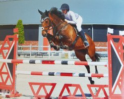 jumper La Corradina (KWPN (Royal Dutch Sporthorse), 2011, from Corrado II)