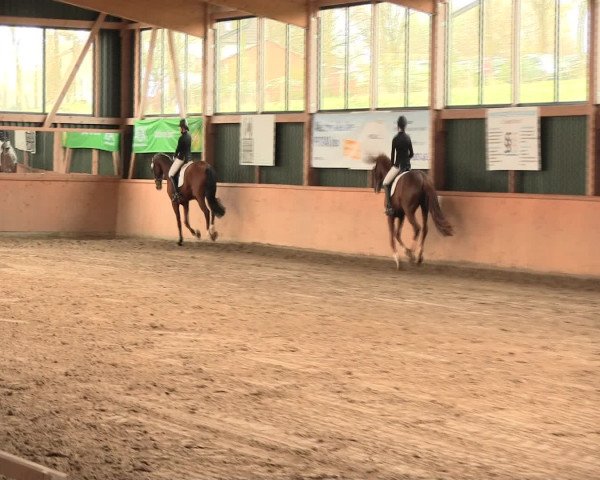 Reitturnier Iserlohn-Süd 2016