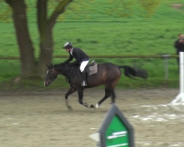 Reitturnier Xanten - Moermter 2016