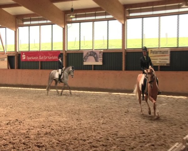 Reitturnier Iserlohn-Süd 2016