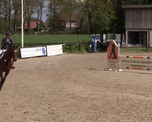 Reitturnier Havixbeck 2016