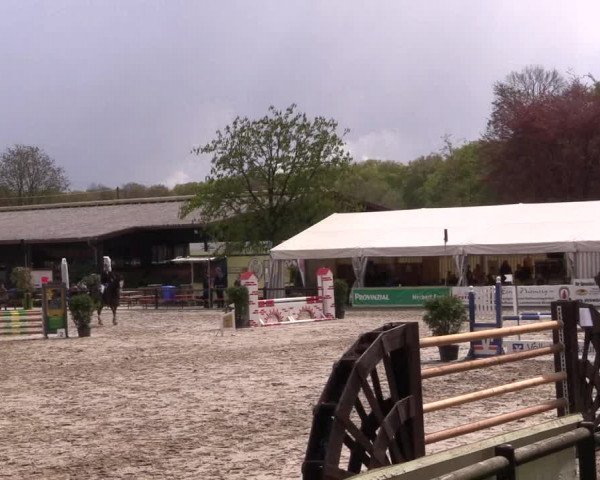 Reitturnier Havixbeck 2016