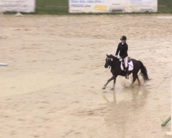 Reitturnier Iserlohn-Süd 2016
