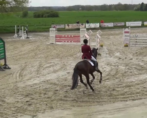 Reitturnier Xanten - Moermter 2016