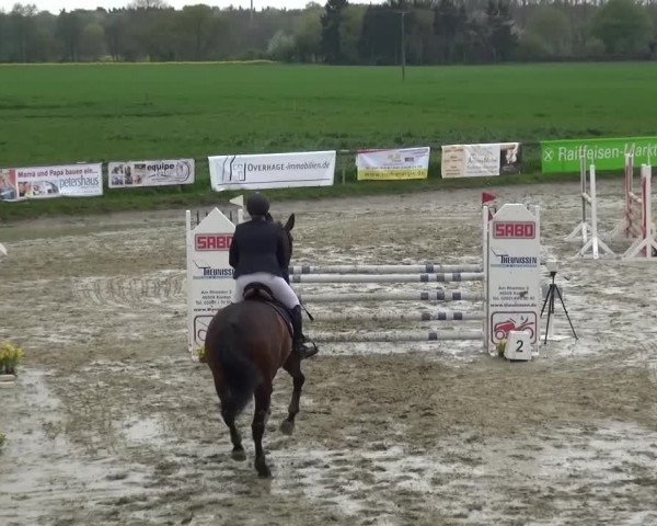 Reitturnier Xanten - Moermter 2016