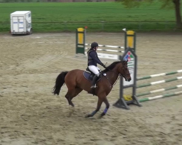 Reitturnier Xanten - Moermter 2016
