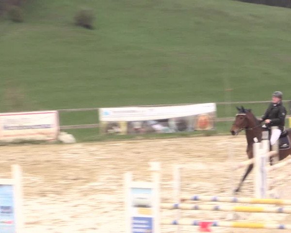 Reitturnier Iserlohn-Süd 2016