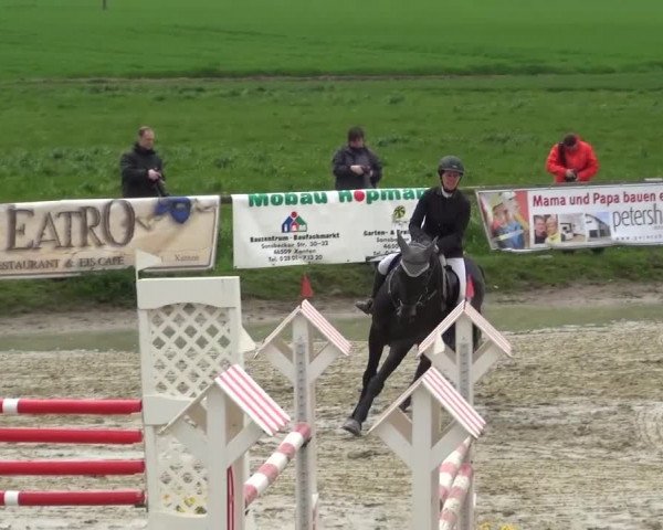 Reitturnier Xanten - Moermter 2016