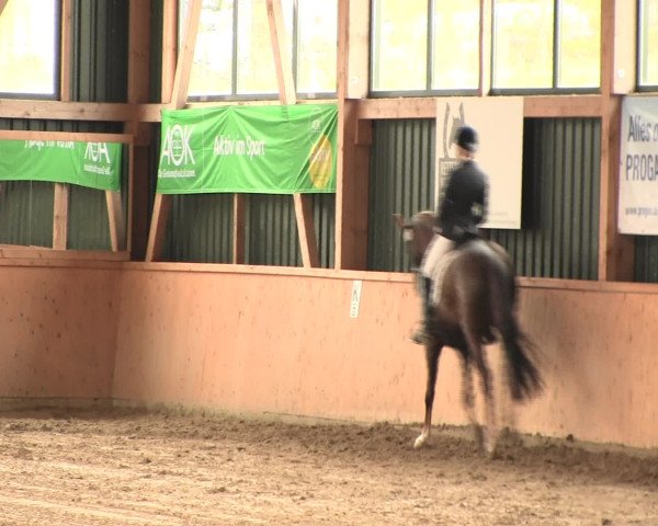 Reitturnier Iserlohn-Süd 2016