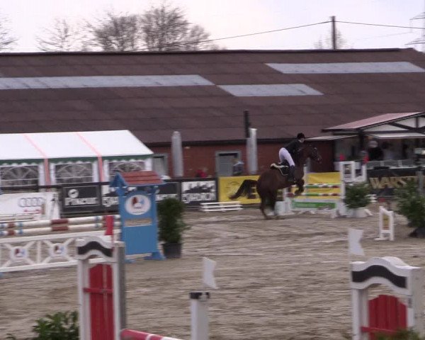 Reitturnier Havixbeck 2016