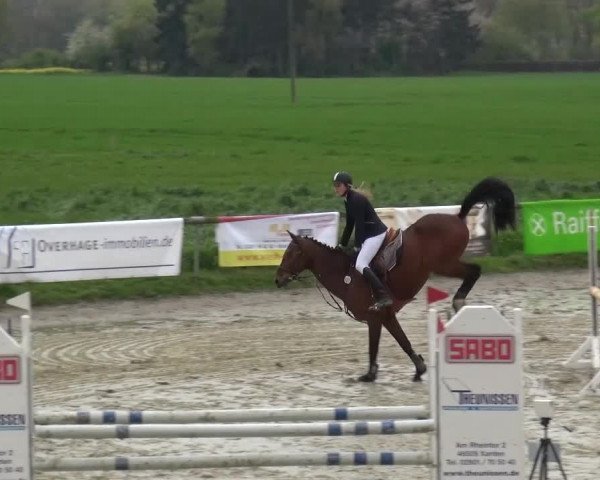 Reitturnier Xanten - Moermter 2016