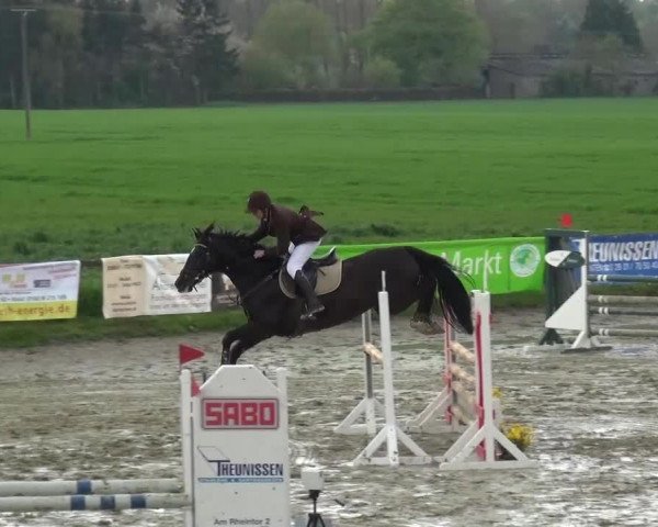 Reitturnier Xanten - Moermter 2016