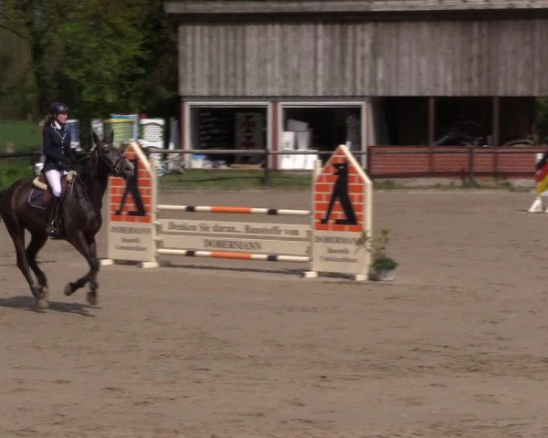 Reitturnier Havixbeck 2016
