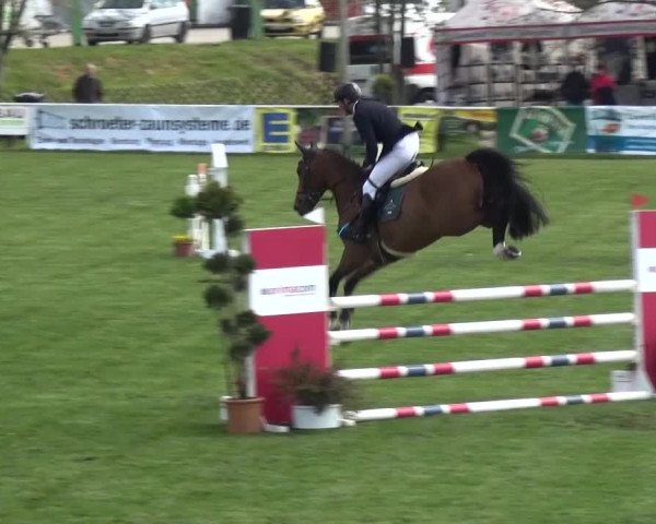 Reitturnier Greppin 2016
