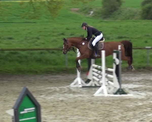 Reitturnier Xanten - Moermter 2016