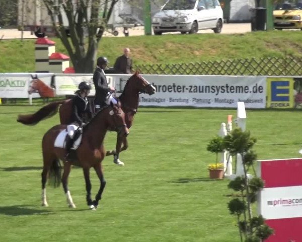 Reitturnier Greppin 2016