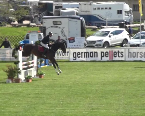 Reitturnier Greppin 2016