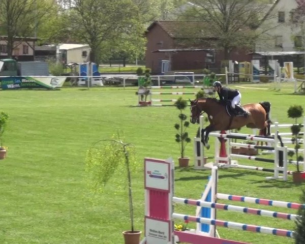 Reitturnier Greppin 2016