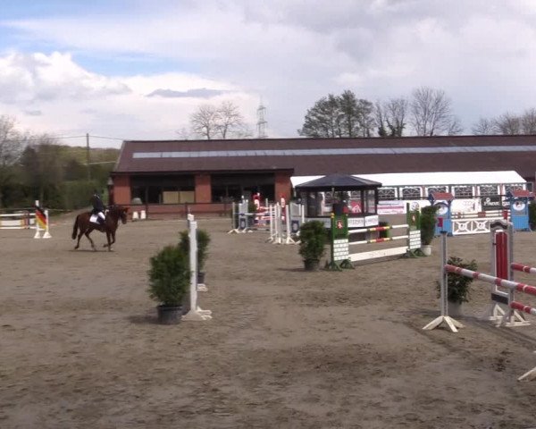 Reitturnier Havixbeck 2016