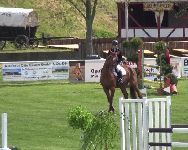 Reitturnier Greppin 2016
