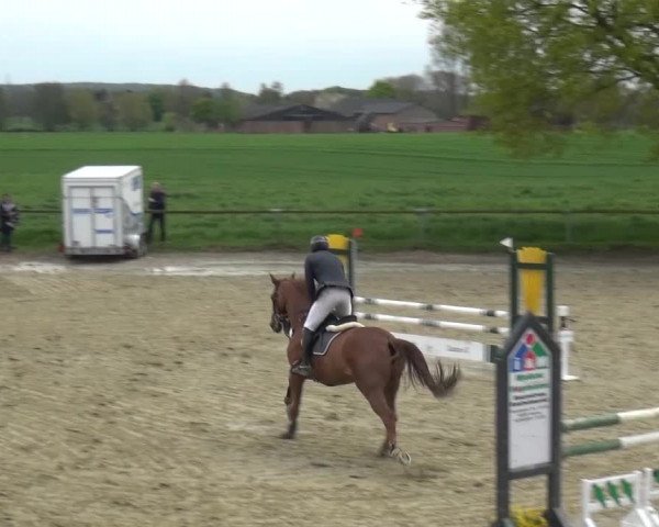 Reitturnier Xanten - Moermter 2016