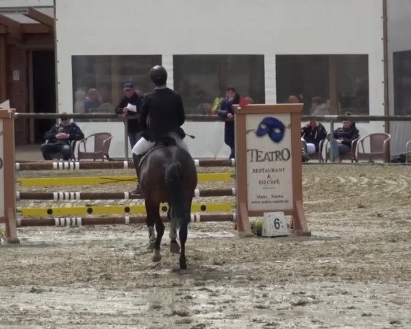 Reitturnier Xanten - Moermter 2016