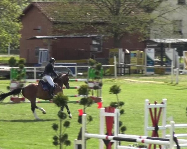 Reitturnier Greppin 2016