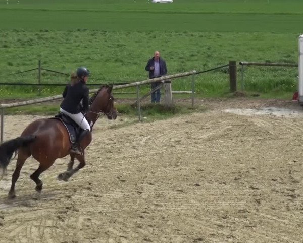 Reitturnier Xanten - Moermter 2016