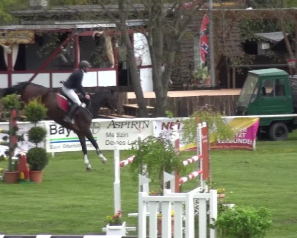 Reitturnier Greppin 2016