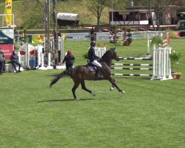 Reitturnier Greppin 2016
