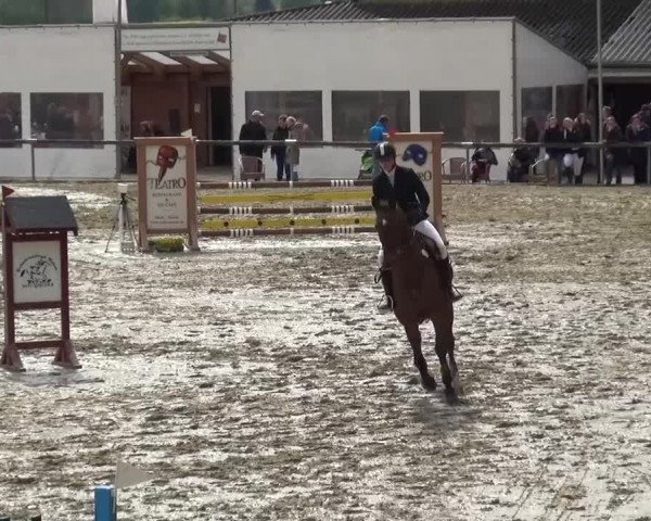 Reitturnier Xanten - Moermter 2016