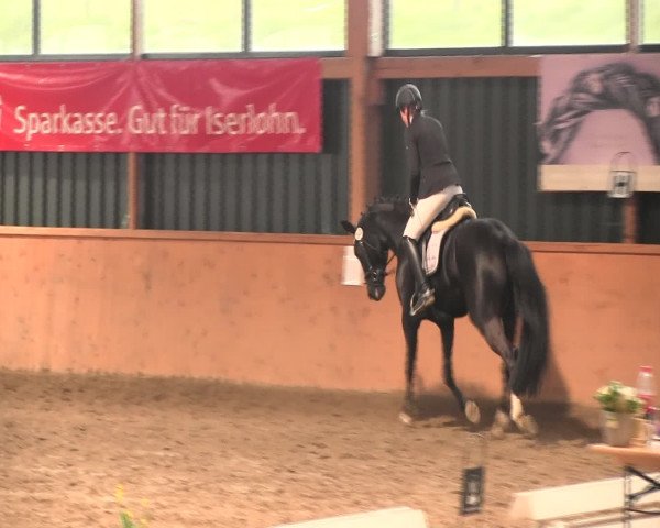Reitturnier Iserlohn-Süd 2016